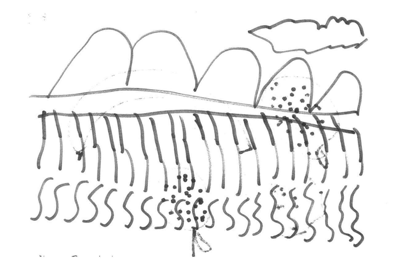 Nauru's fences depicted by a seven-year-old.