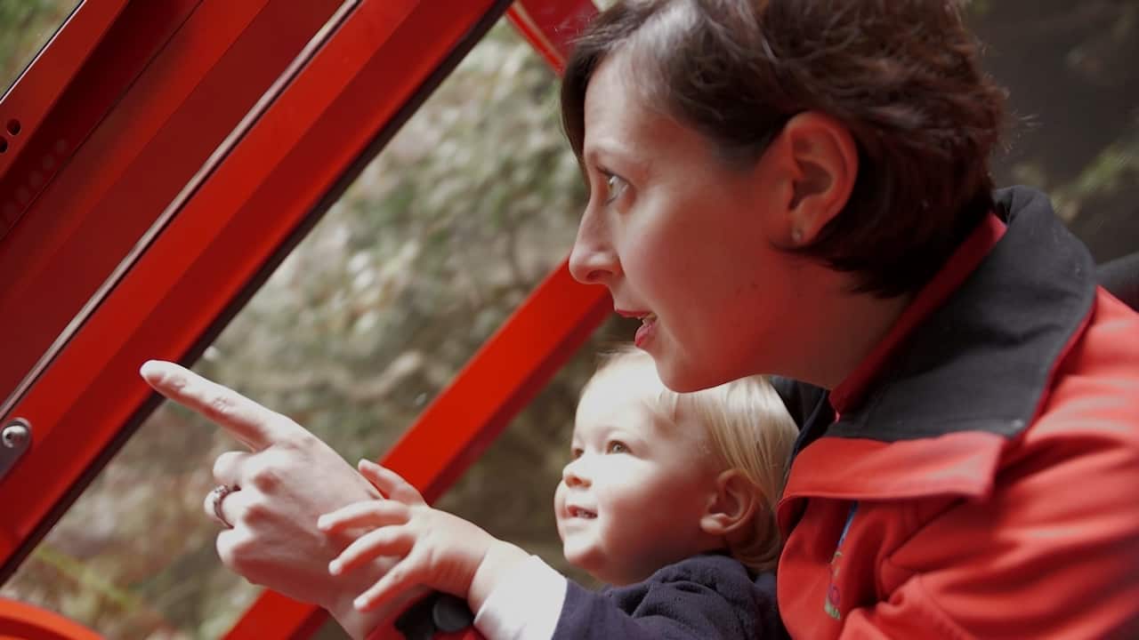 Anthea Hammon innovated the business with a new cable car once her and her brother joined Scenic World as managing directors.