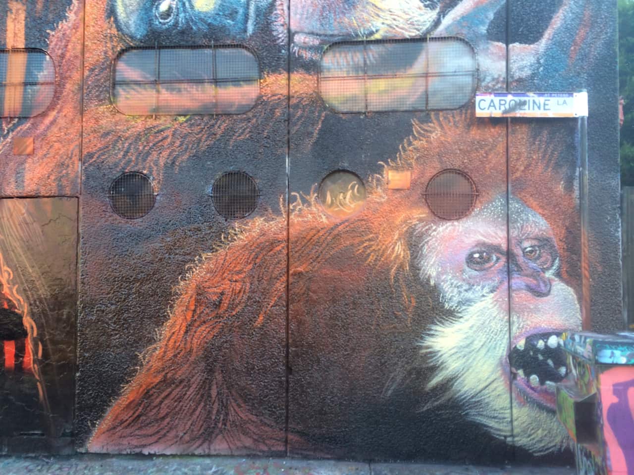 Street art in Newtown, Sydney. (Photo: Brianna Roberts)