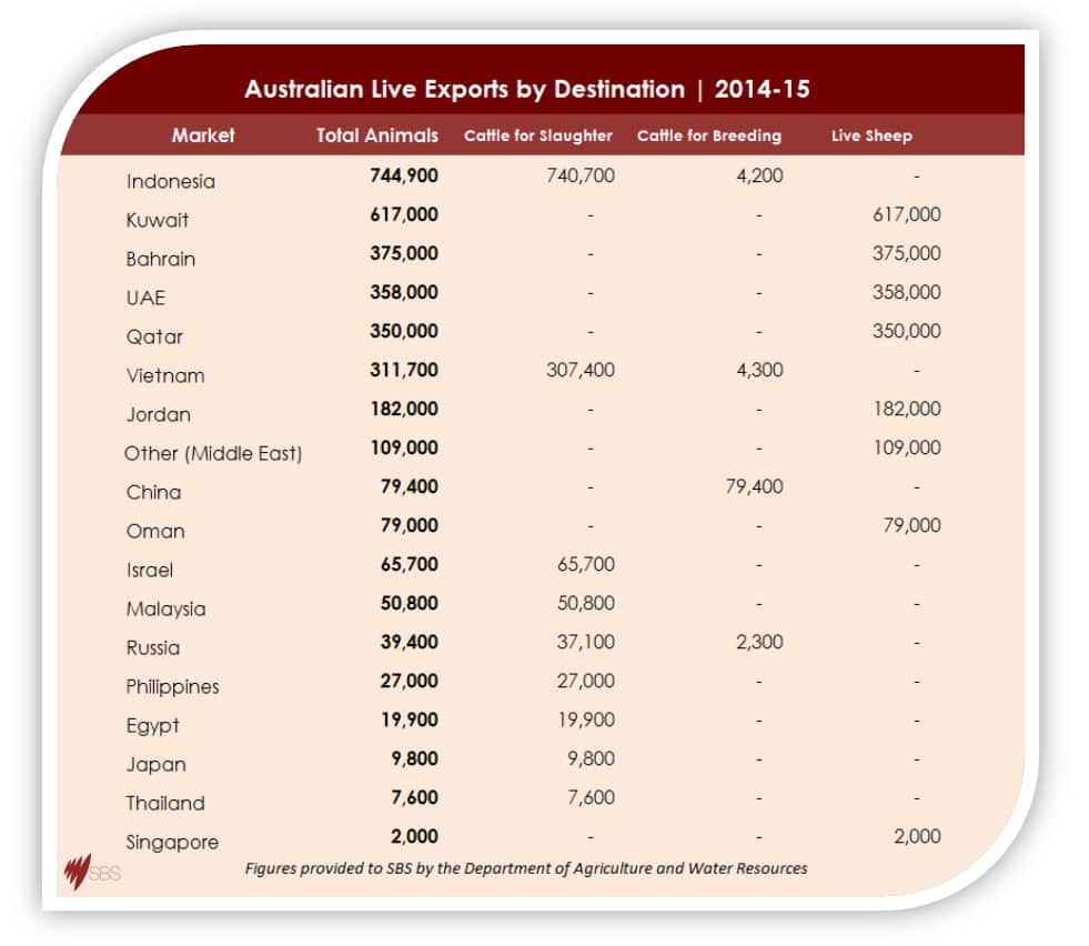 Table: Total Animals by country, Indonesia 744900, Kuwait 617000, Bahrain 375000, UAE 358000, Qatar 35000, Vietnam 311700