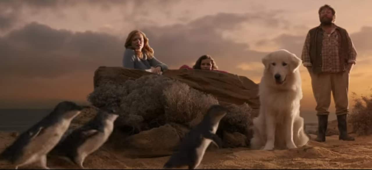 A still from the movie Oddball.