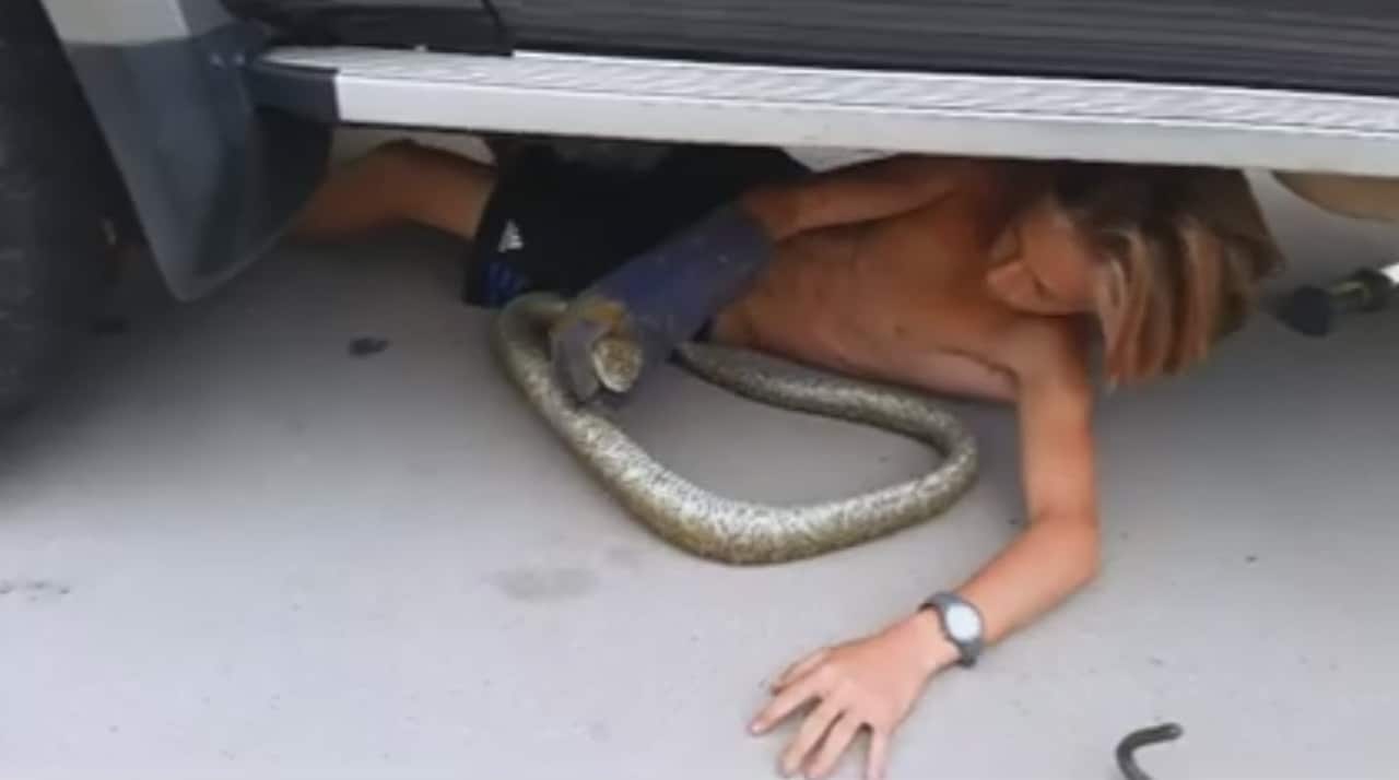 Boy rescues snake