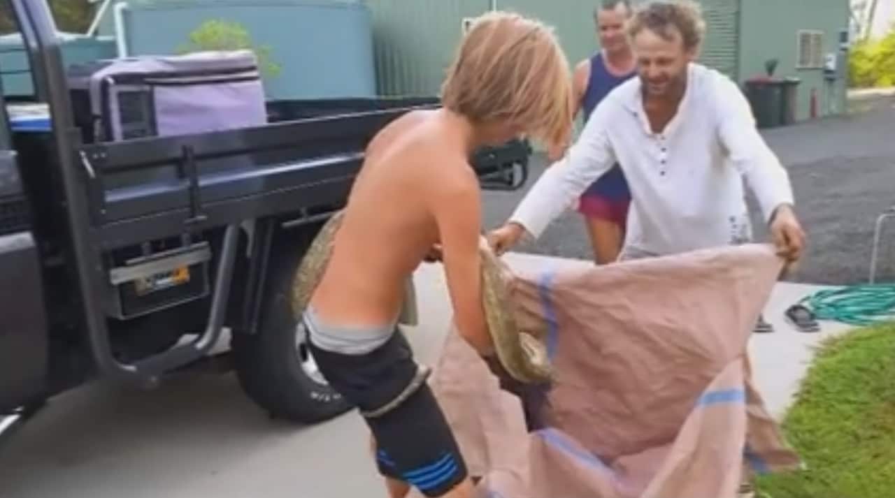 Boy saves snake