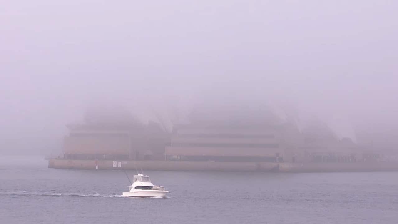 Thick fog reduced visibility in Sydney.