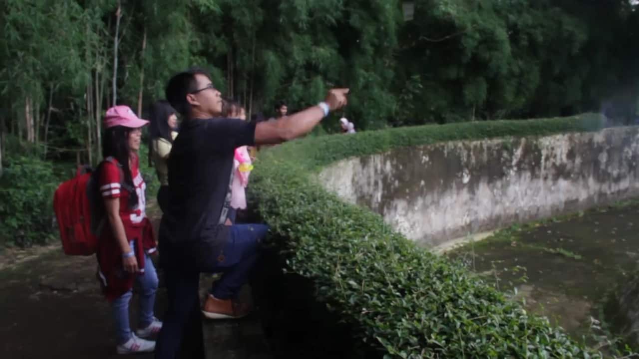 The man threw the half-smoked cigarette into the enclosure of the orangutan. 