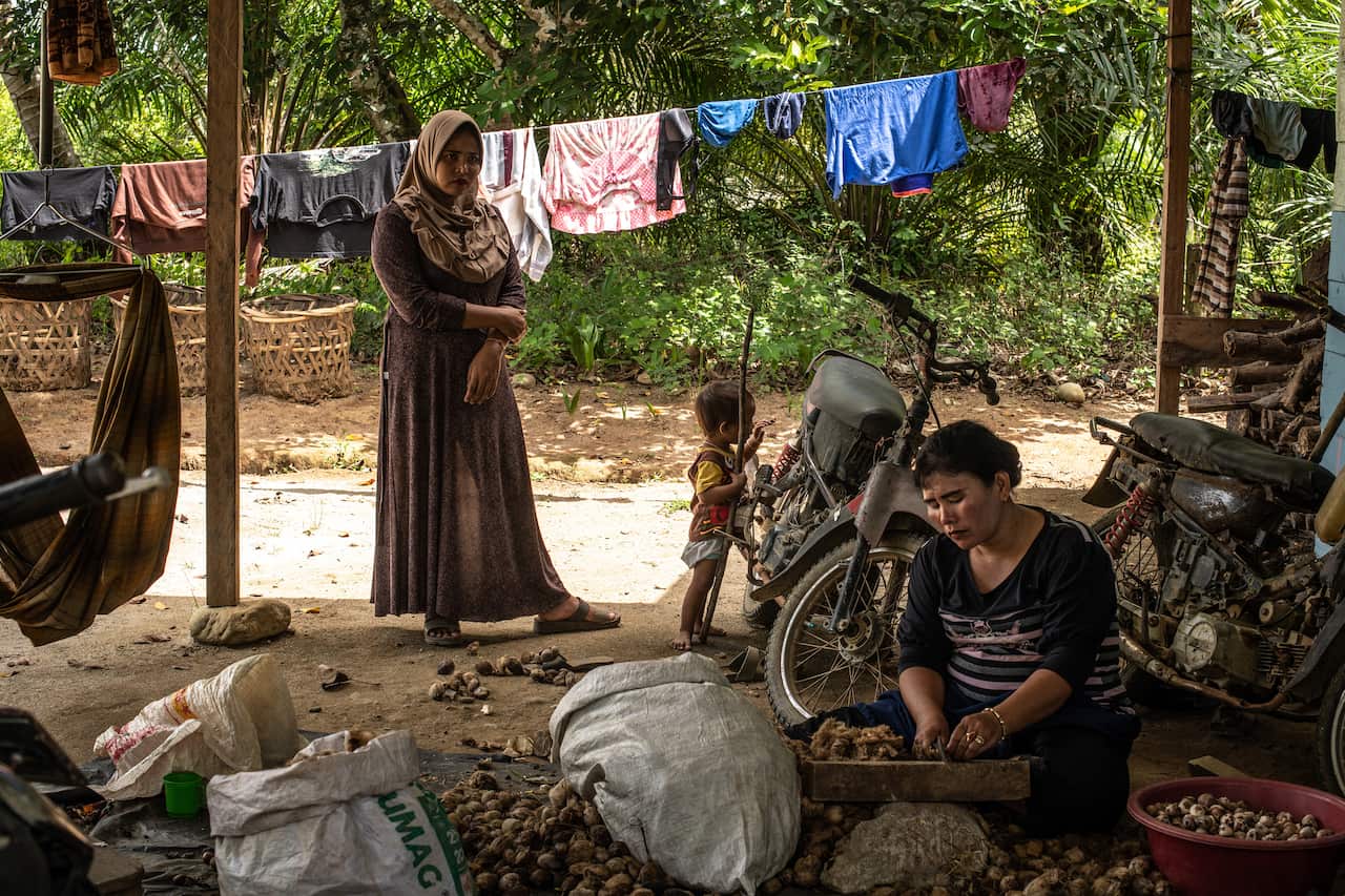 The home of the teenager who took the orangutan Hopes baby, in Bunga Tanjung, Indonesia.