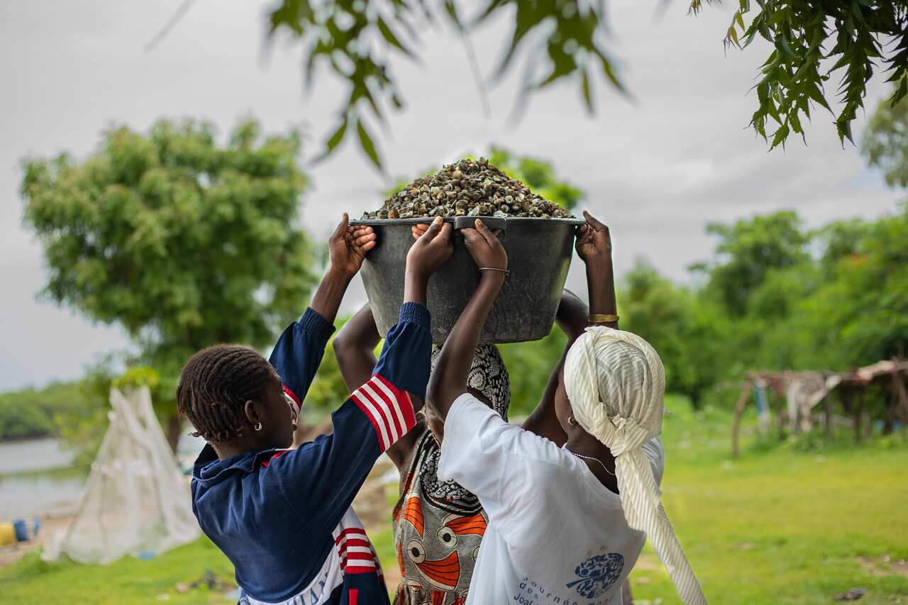 Women assist with carrying a bucket of cockle shells from mangroves.