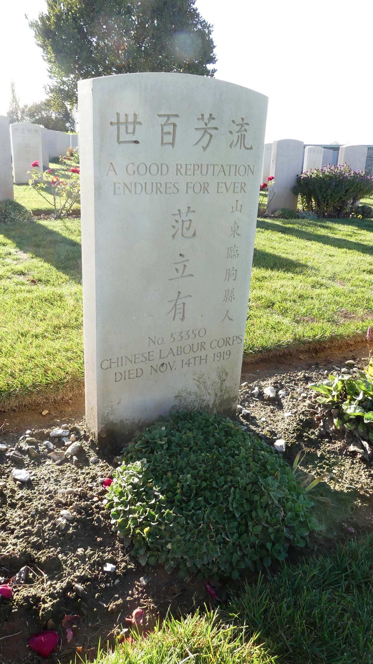 The gravestone of a Chinese-Australian soldier at Noyelles-sur-Mer. 
