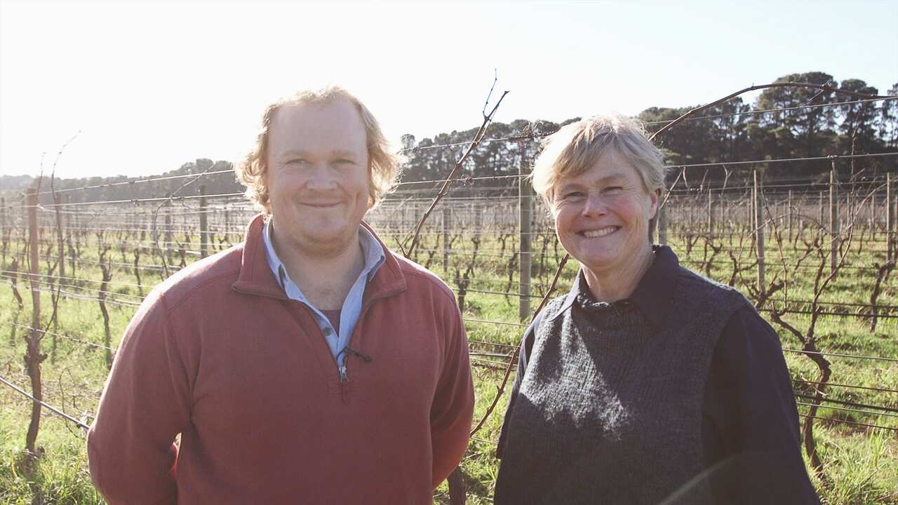 Quealy Winemakers