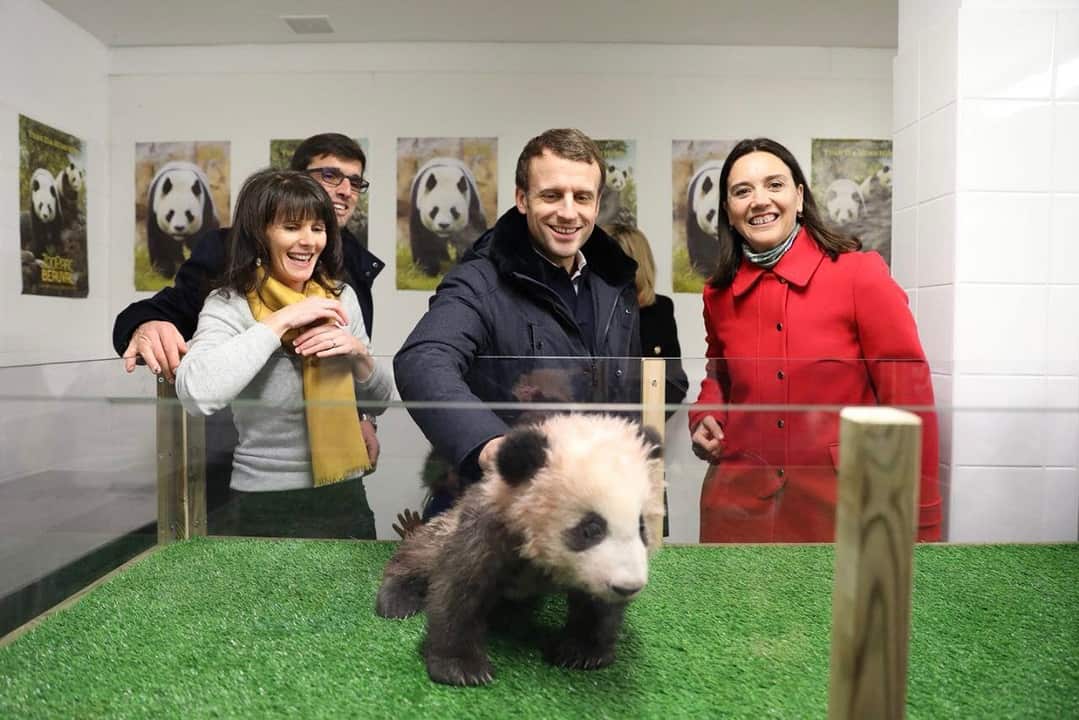 President Emmanuel Macron and wife visit the  Beauval Zoo home to France's first panda cub.