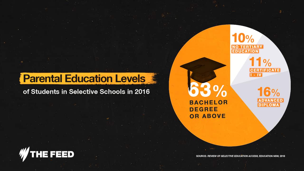 Parental education levels of students in selective schools in 2016