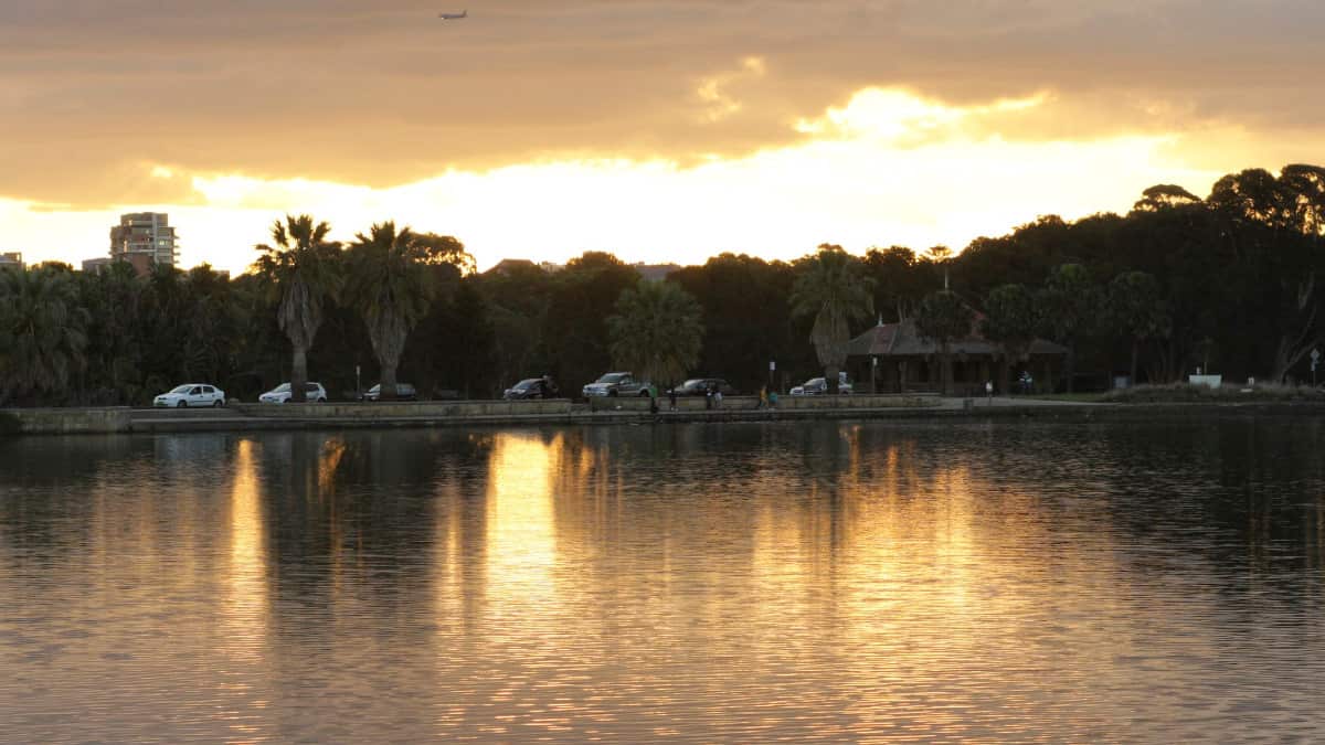 The park is a favourite for joggers, and those walking their dogs.