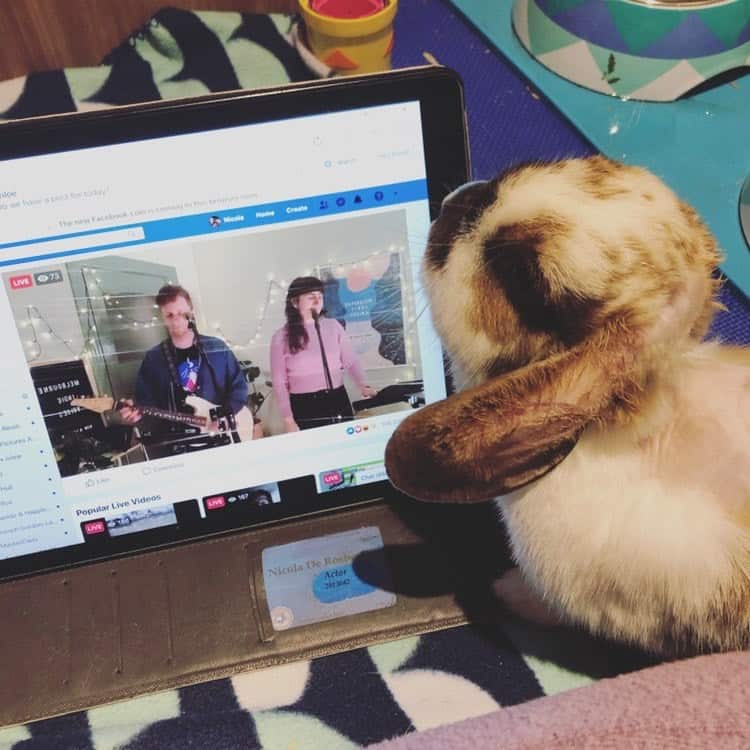 Pets have been enjoying the at-home choir experience.