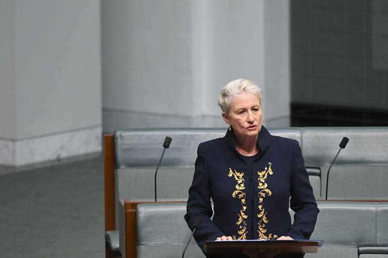 Independent MP for the seat of Wentworth Kerryn Phelps wants sick asylum seekers brought to Australia as soon as possible.