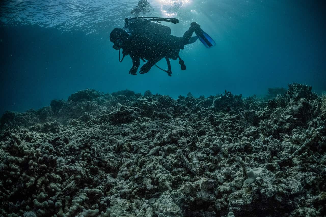 Surveying damaged coral reefs in Philippine waters. The country has struggled to protect its 10,500 square miles of coral reef.