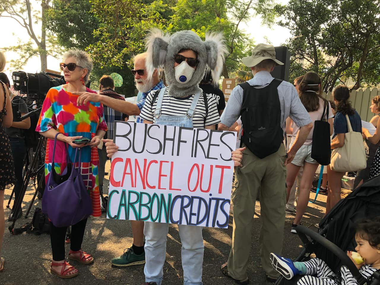 A protester stands in 30 degree heat in a koala costume.