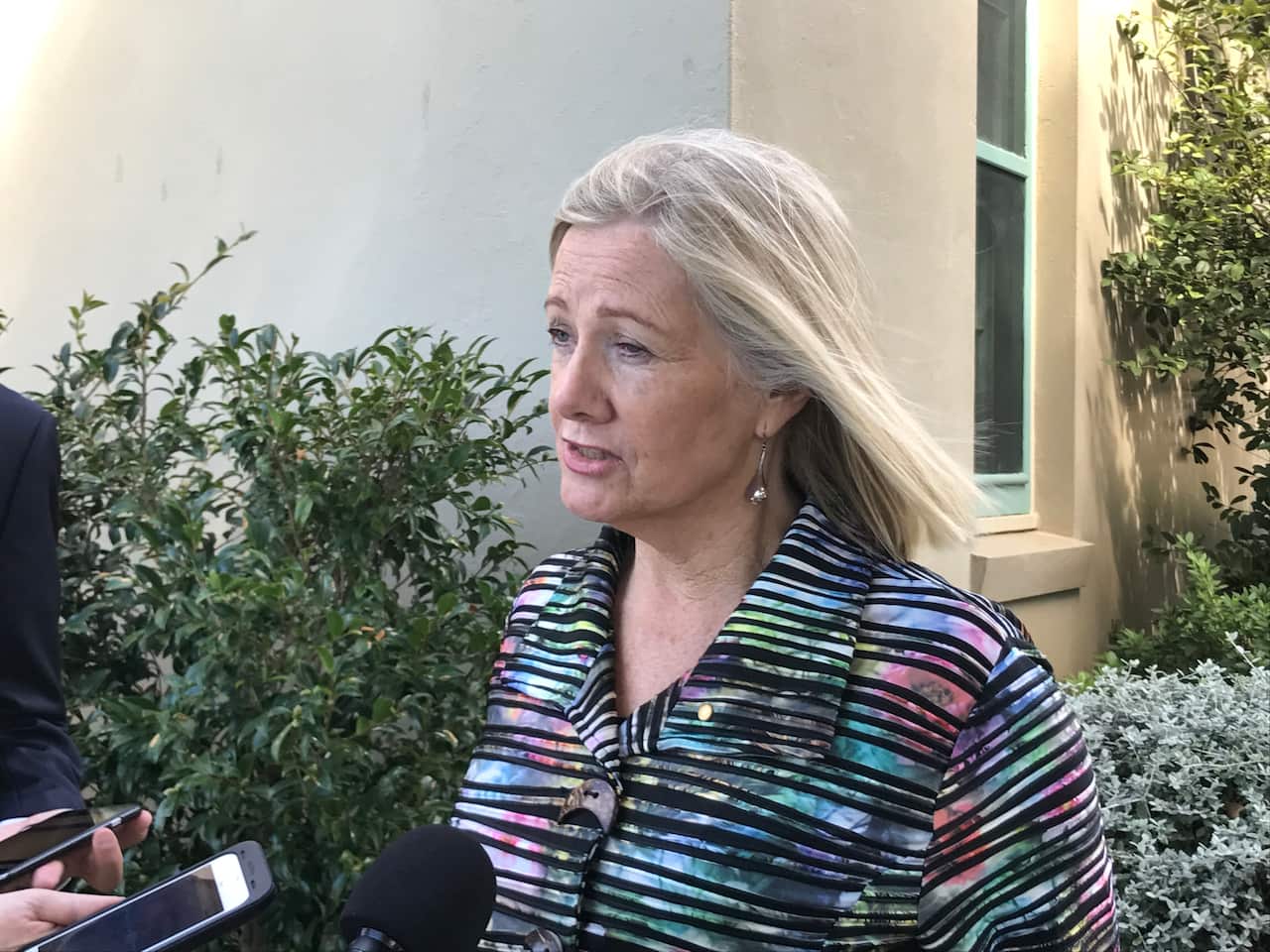 Caroline Carroll from the Alliance of the Forgotten Australians 