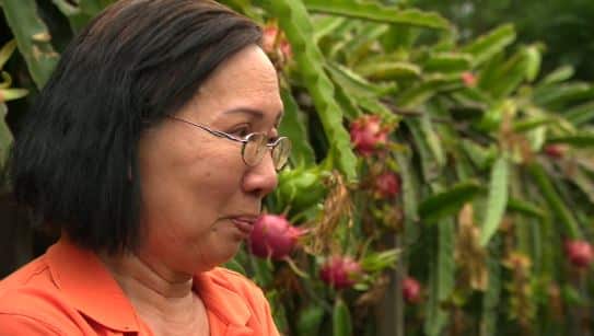 Trang Chau says she hopes the federal government can lobby the Vietnamese government to expedite her husband's case.