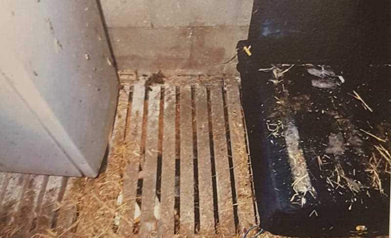 The pig shed where a European backpacker was chained up and raped over two days by Gene Charles Bristow.