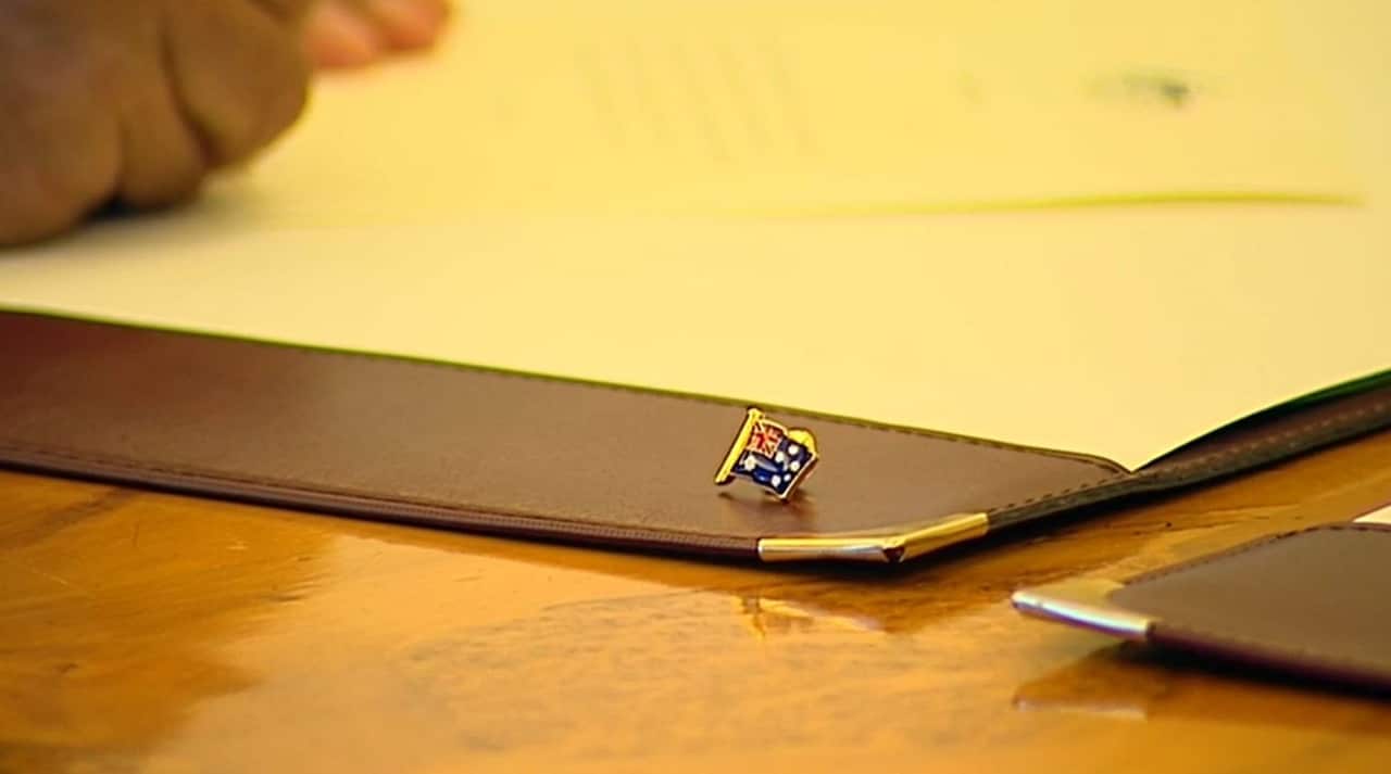 One of the new lapel pins.