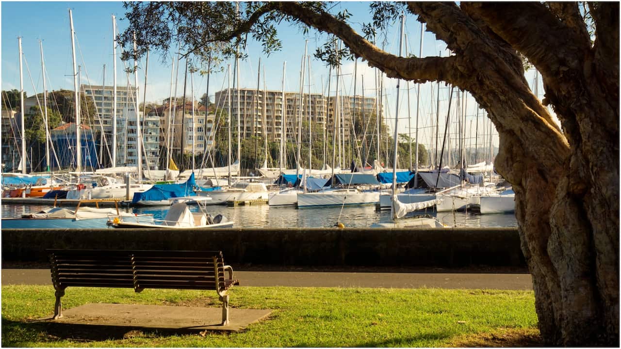 rushcutters bay