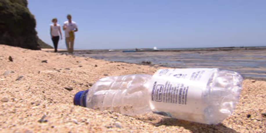 Plastic-free Wollongong hopes to rid the local beaches of this type of single-use plastic. 