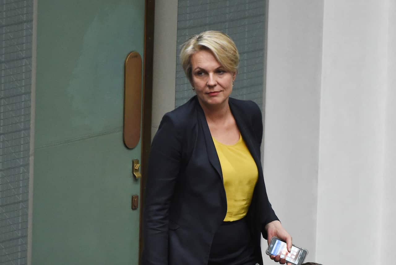 File image of Deputy Leader of the Opposition Tanya Plibersek (AAP)