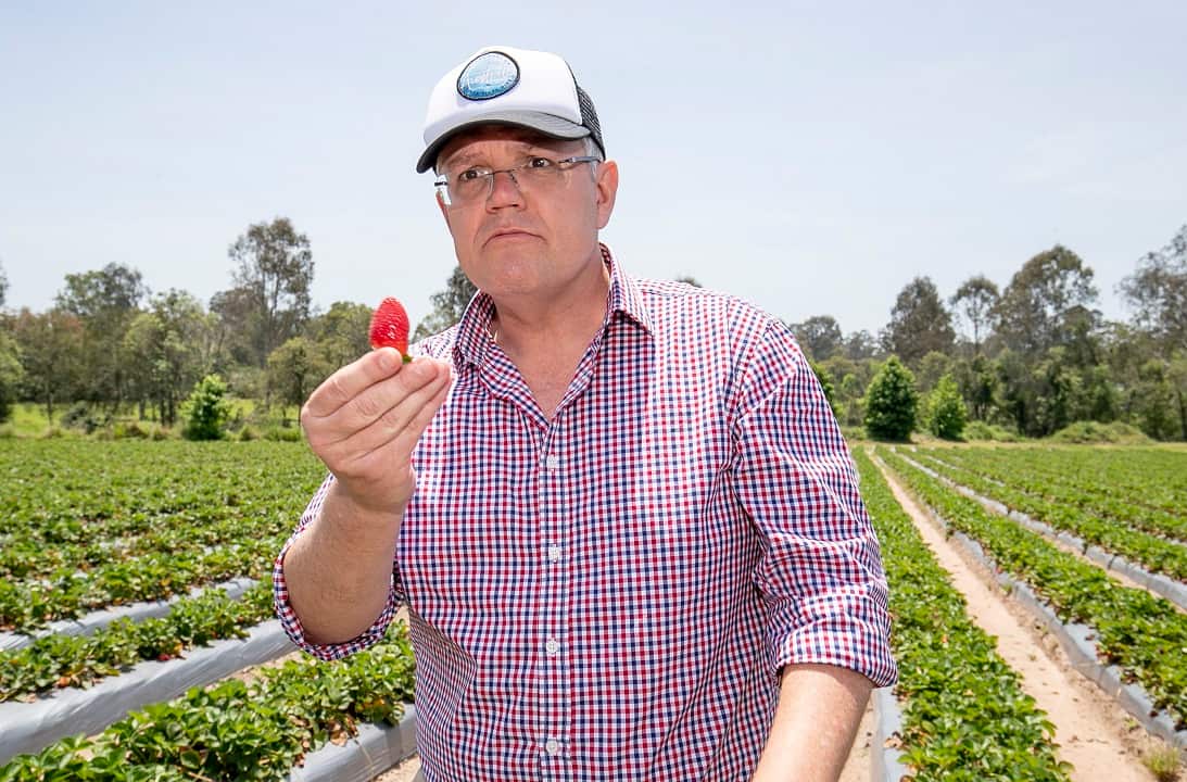 Prime Minister Scott Morrison at the  Chambers Flat Strawberry Farm.