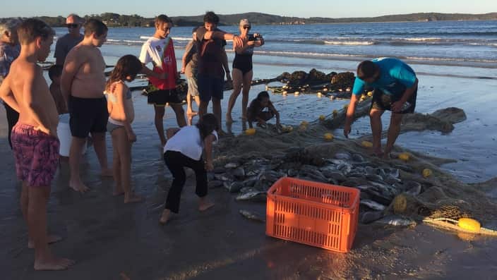 The Nye family haul in their catch at Broulee on the NSW south coast
