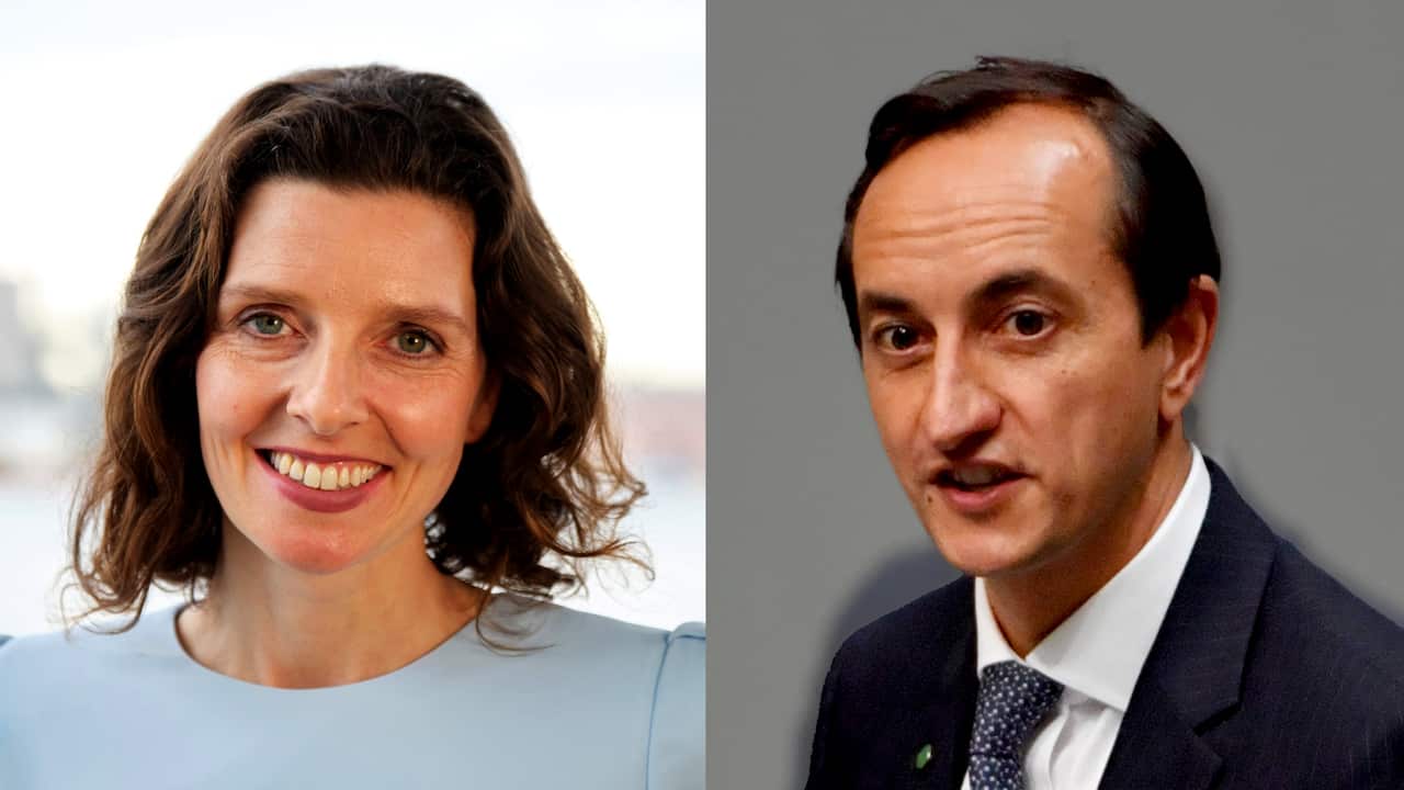 Allegra Spender will run against Liberal MP Dave Sharma for the seat of Wentworth in the upcoming federal election. 