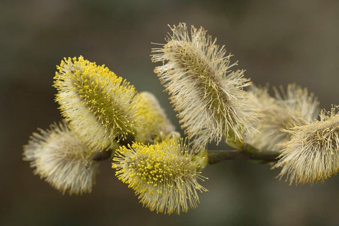 Researchers warn of dire changes to ecosystems.