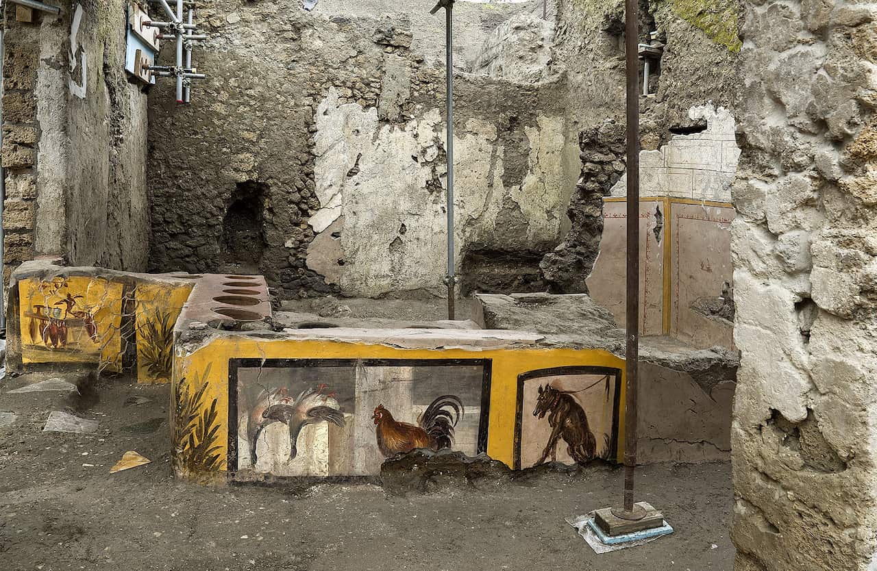 The newly unearthed thermopolium is noted for its well preserved, colourful frescoes portraying images of geese, a rooster and mythological characters.