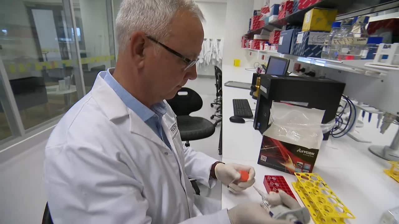 scientists find potential genetic link with gender dysphoria