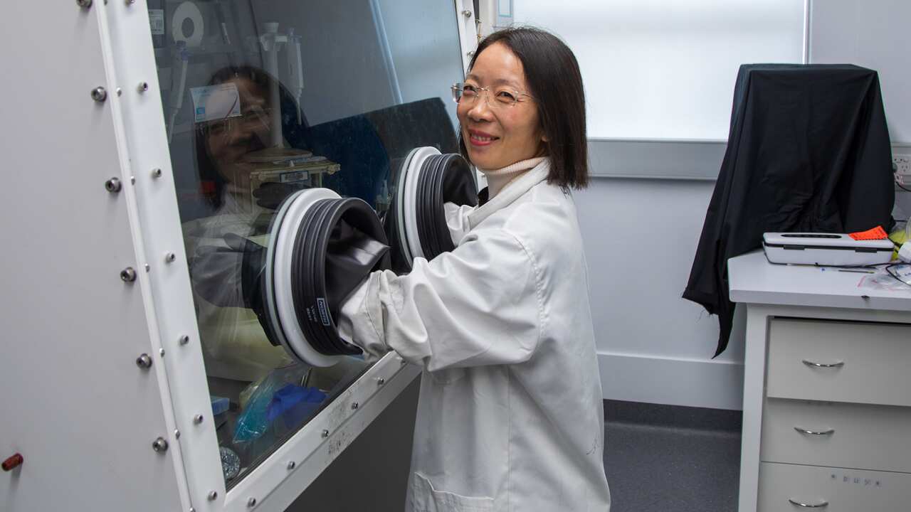 Professor Hongxia Wang