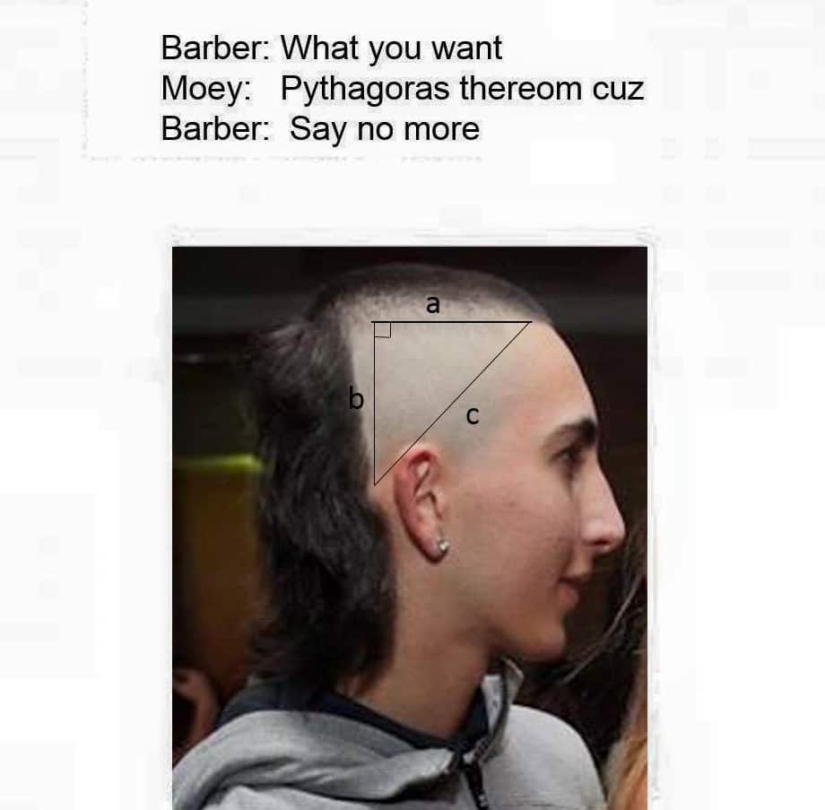 The 'Pythagoras' hairstyle meme which was used in media reports, via Jeremy Nool