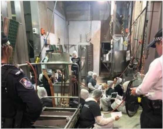 Animal activists chain themselves to equipment at abbatoir in Yangan, Queensland, April 8, 2019
