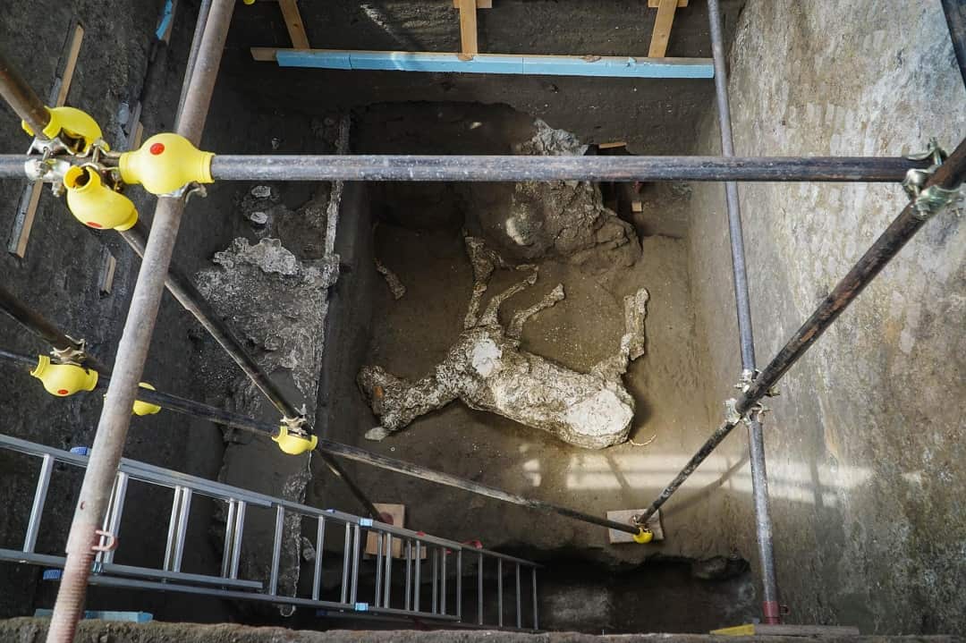 The find was discovered in a large villa that stood just outside the walls of Pompeii.