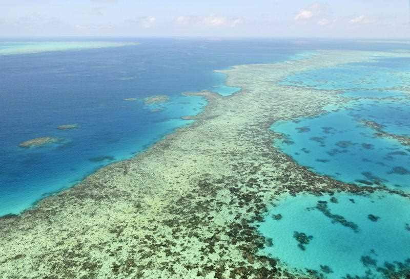 Leading climate scientists say Australia's politicians have a responsibility to help protect the Great Barrier Reef.
