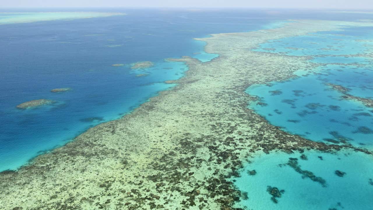 The Great Barrier Reef off the northeastern coast of Australia in December 2017. 