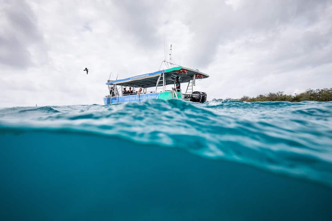 Members from the Great Barrier Reef Foundation conducting research.