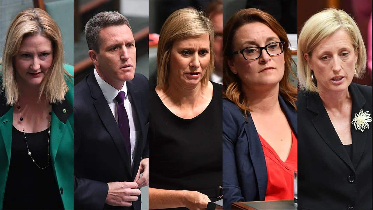 Three Labor MPs and one Independent have resigned over their dual citizenship status, just hours after the High Court ruled Labor's Katy Gallagher was invalid.