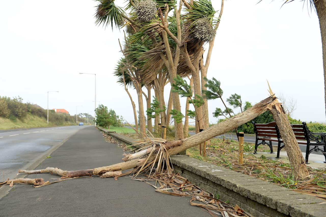 A fallen tree branch on James Larkin Road, Dublin, Ireland, as Hurricane Ophelia batters the UK and Ireland.