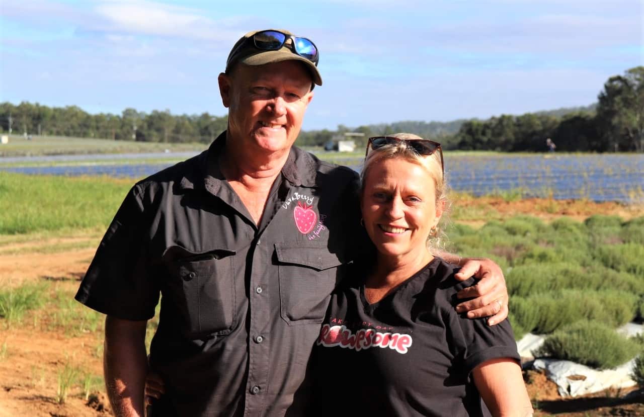Strawberry grower Adrian Schultz and his wife Mandy.