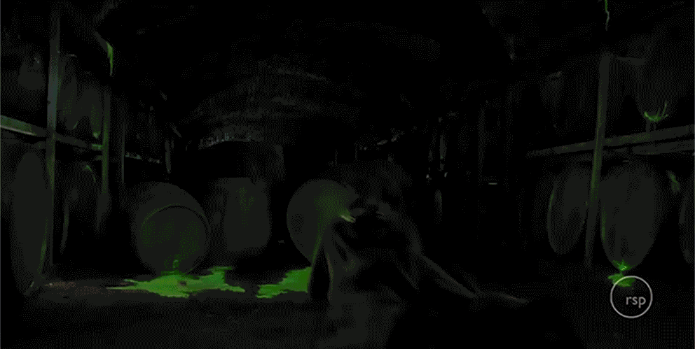 Rising Sun Game of Thrones