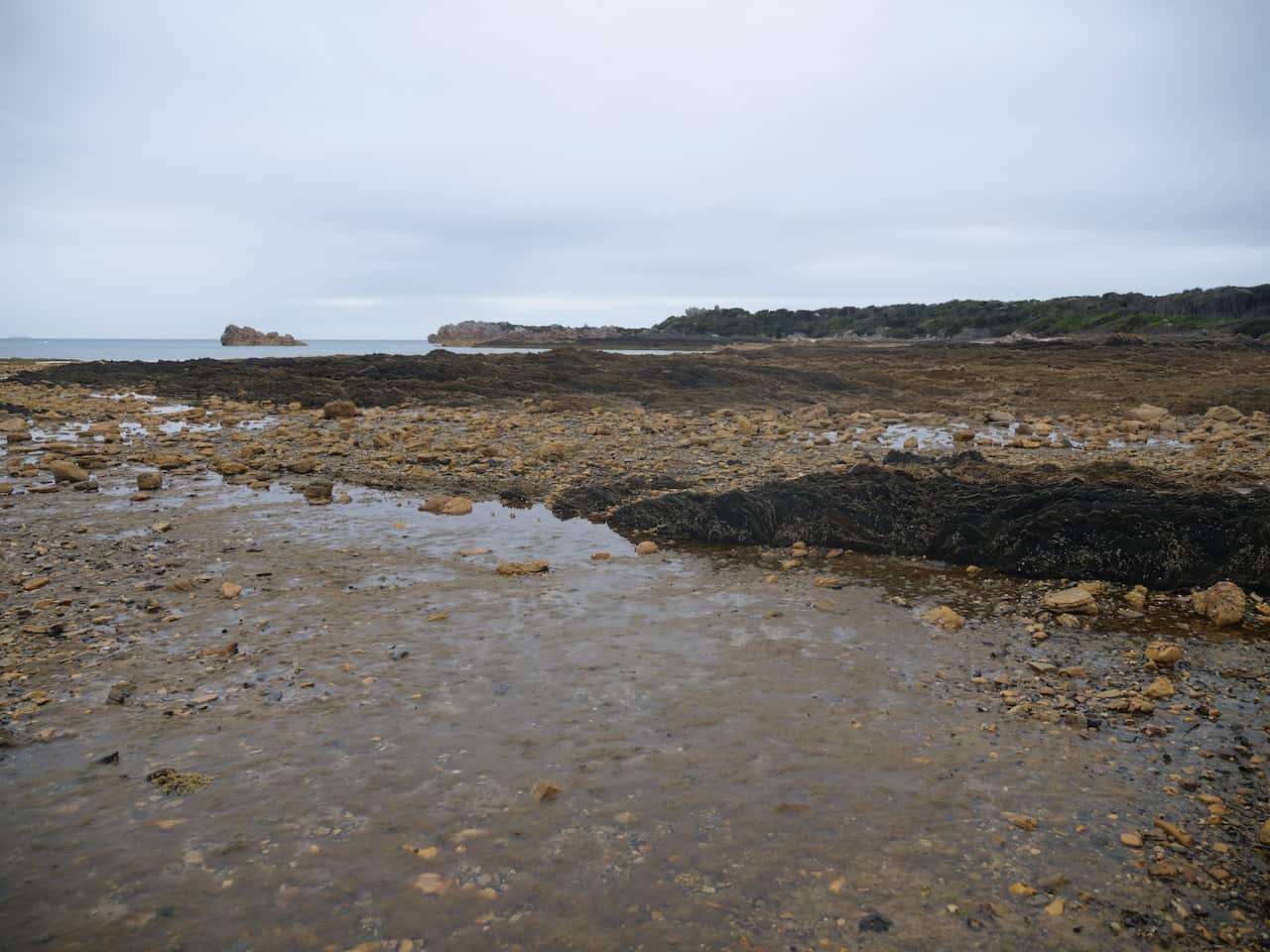Rocky Cape on Tasmania's north-west coast