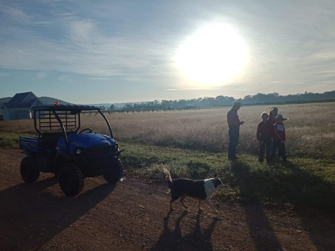 farmers seek clarity over seasonal worker self-isolation requirements