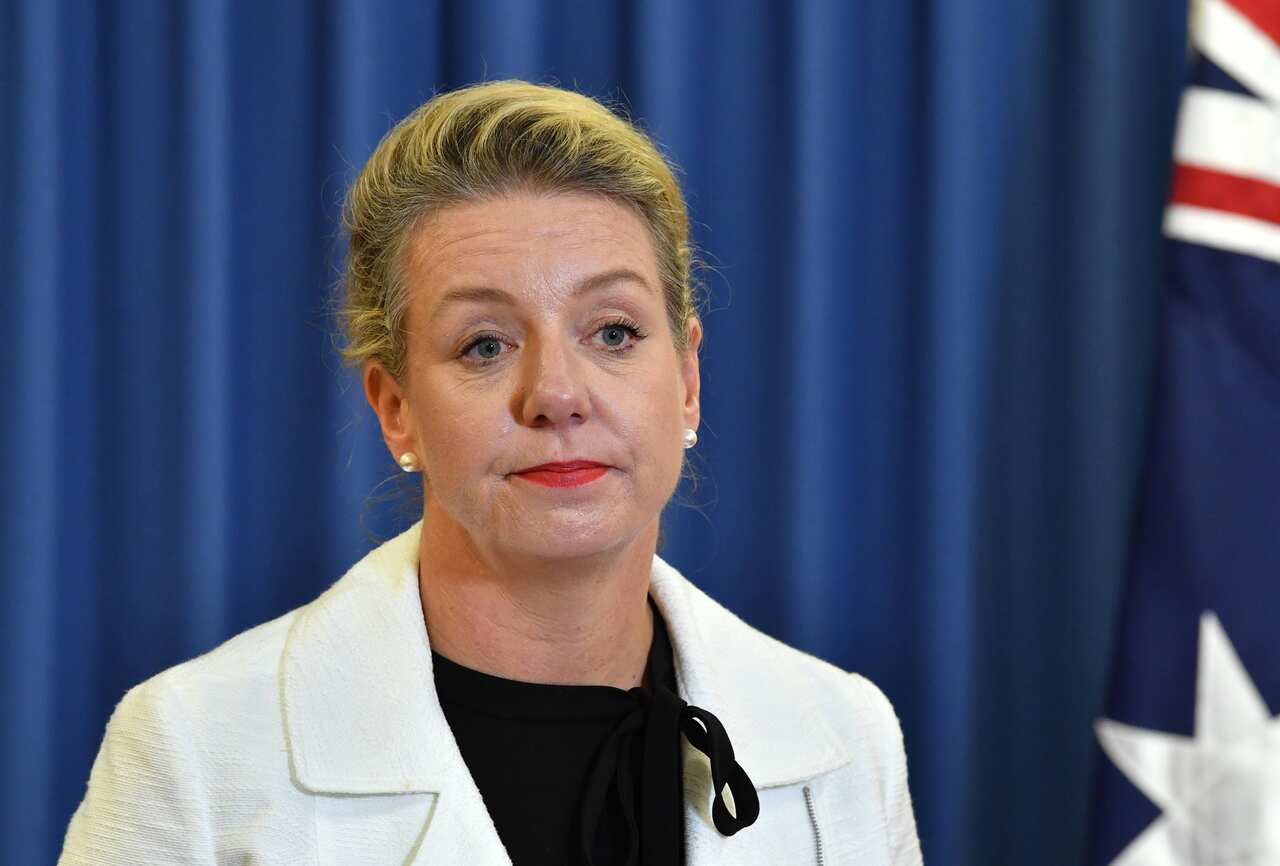 Embattled Senator Bridget McKenzie.