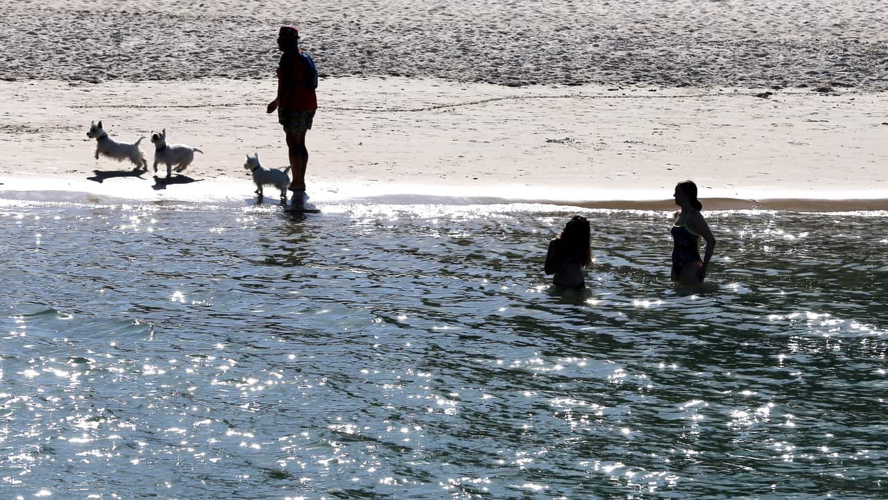 Beach goers at Glenelg Beach try to keep cool as the temperature is forecast to hit a top of 45C in Adelaide.