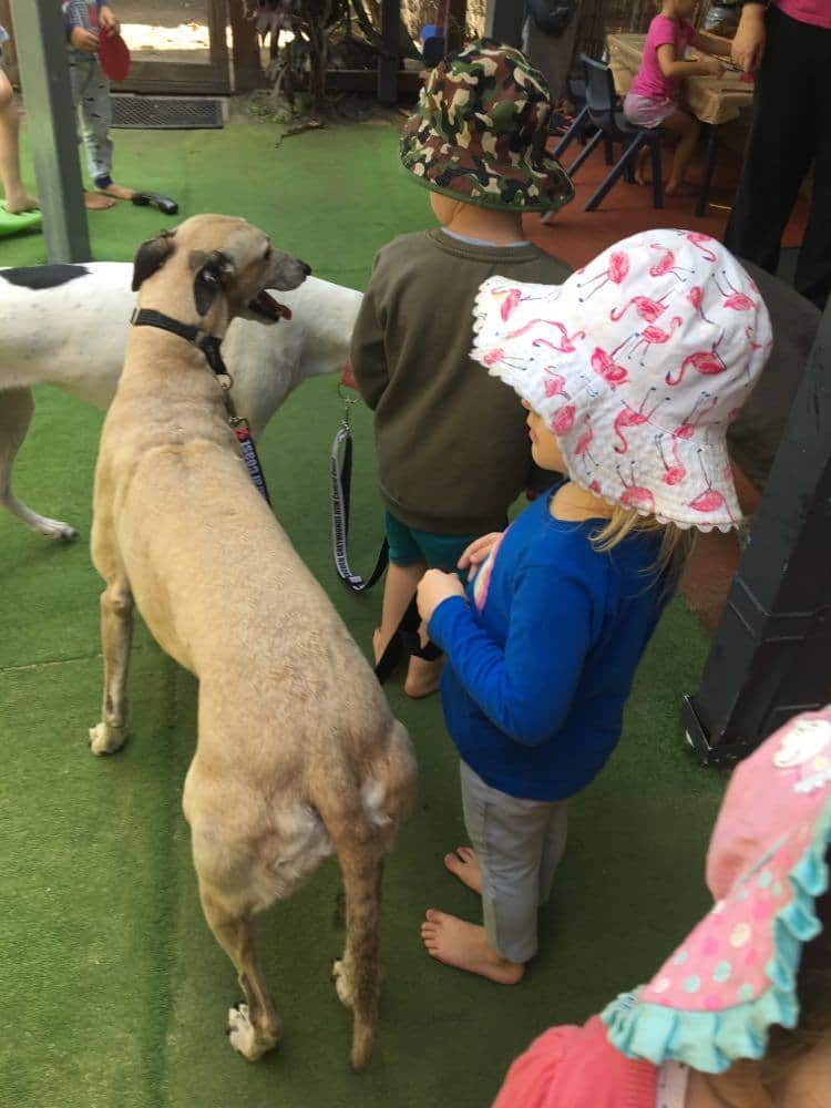 Sandy visiting a daycare