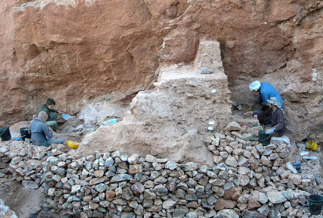 An undated handout photo made available by Max Planck Institute for Evolutionary Anthropology (MPI EVA) of Leipzig on 08 June 2017 (AAP)